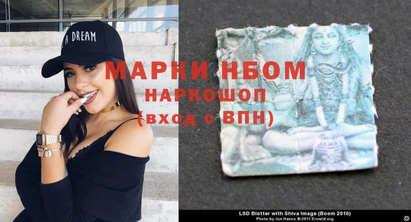 хмурый Покров