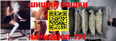 индика Ирбит
