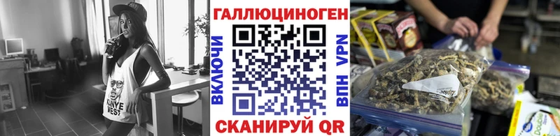 нарко площадка официальный сайт  Зеленогорск  Псилоцибиновые грибы ЛСД  купить наркотик 