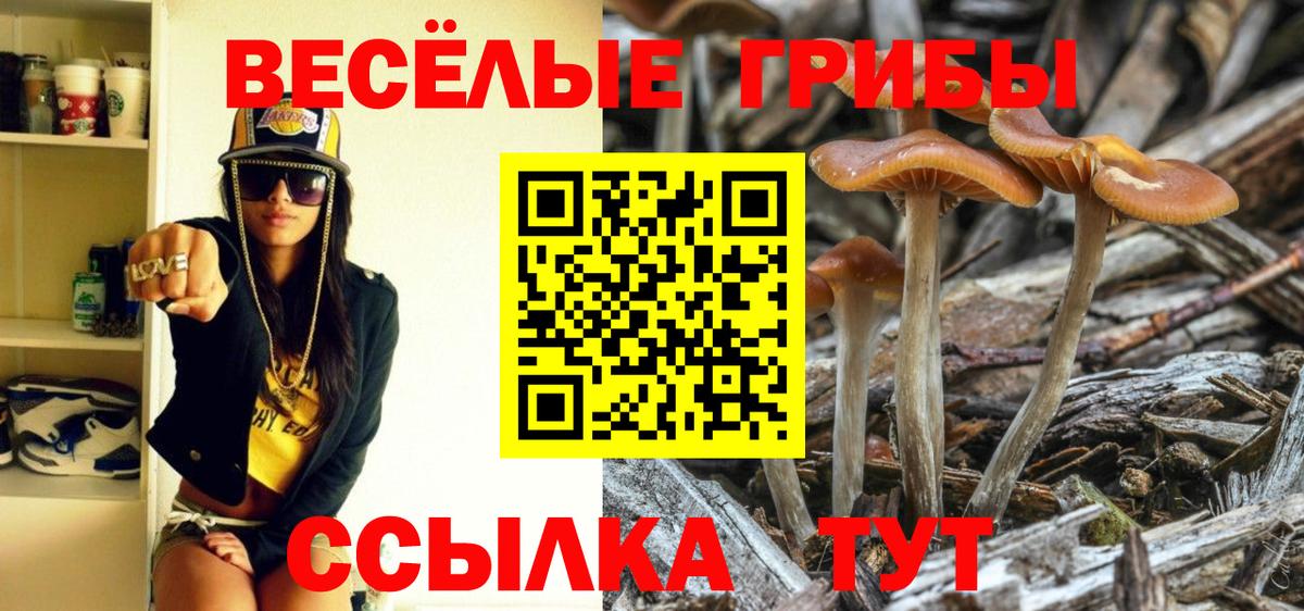Галлюциногенные грибы GOLDEN TEACHER Зеленогорск